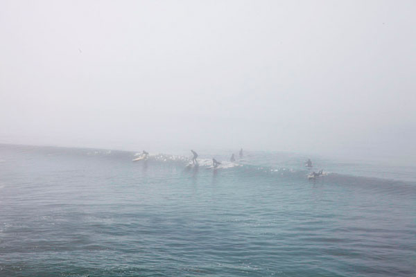 Photograph Craig Cameron Olsen Surfing The Middle Break on One Eyeland